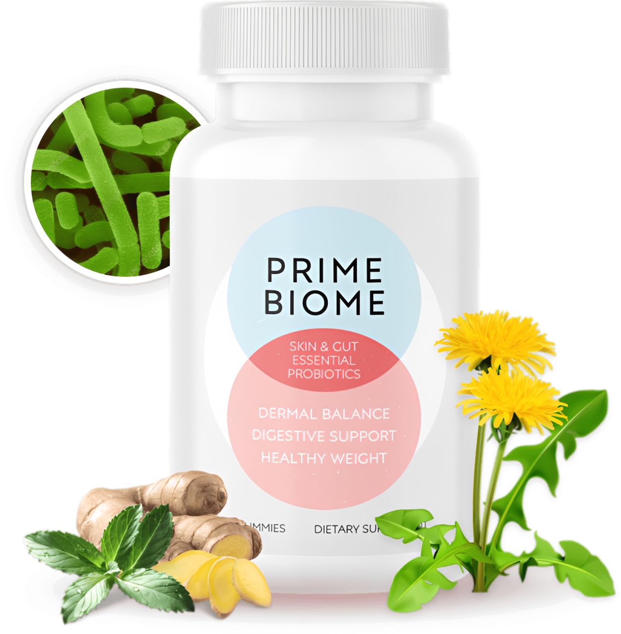 PrimeBiome Supplement Bottle